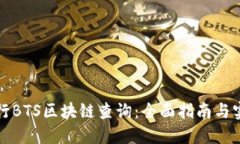 如何进行BTS区块链查询：全面指南与实用技巧