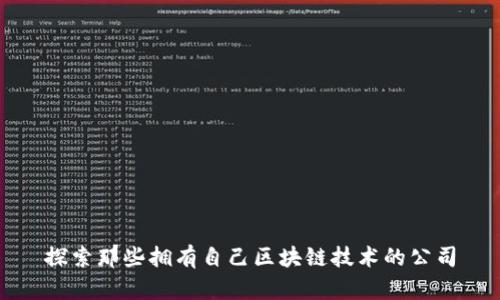 探索那些拥有自己区块链技术的公司