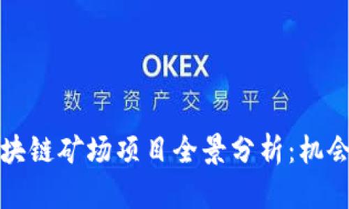 深圳区块链矿场项目全景分析：机会与挑战