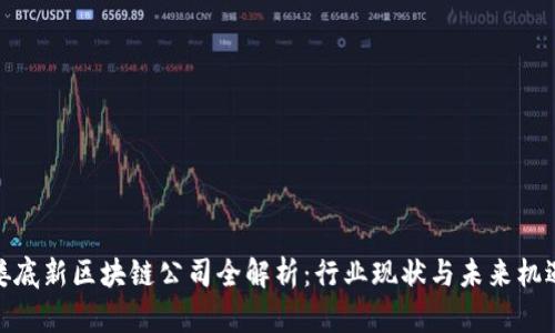 娄底新区块链公司全解析：行业现状与未来机遇