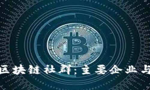 探秘云南区块链社群：主要企业与发展现状