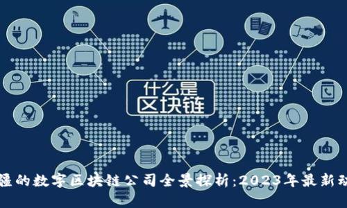 新疆的数字区块链公司全景探析：2023年最新动态