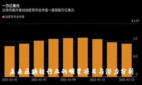 未来区块链行业的明星项目与潜力分析