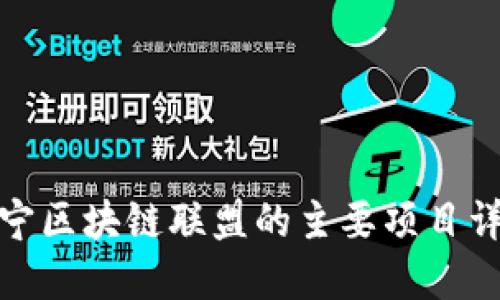 辽宁区块链联盟的主要项目详解