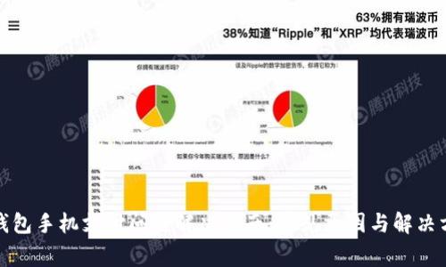 TP钱包手机支付问题解决指南：常见原因与解决方案