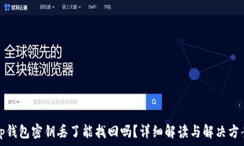   
tp钱包密钥丢了能找回吗？详细解读与解决方案