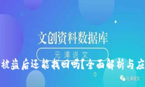 TP钱包被盗后还能找回吗？全面解析与应对策略