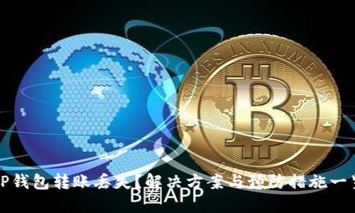 TP钱包转账丢失？解决方案与预防措施一览