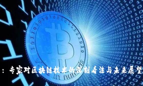 : 专家对区块链技术的深刻看法与未来展望