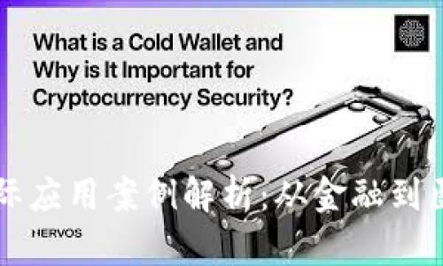 区块链技术的实际应用案例解析：从金融到医疗的多元化探索