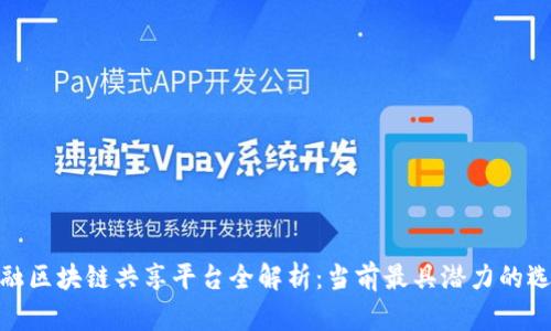金融区块链共享平台全解析：当前最具潜力的选项