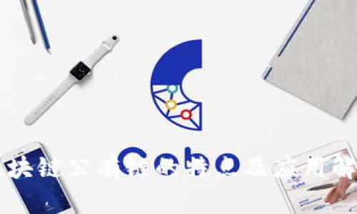 区块链公有链的特点及应用解析