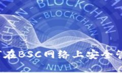 解读TP钱包：如何在BSC网络上安全管理你的数字资