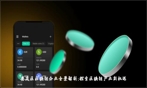 娄底区区块链企业全景解析：探索区块链产业新机遇