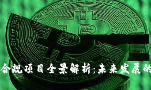 中国区块链合规项目全景解析：未来发展的机遇与挑战