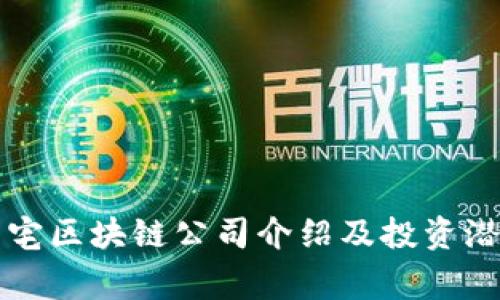 常州豪宅区块链公司介绍及投资潜力分析