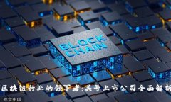 区块链行业的领军者：头号上市公司全面解析