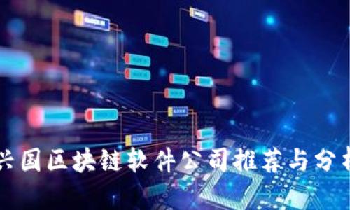 兴国区块链软件公司推荐与分析