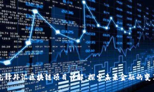 先锋外汇区块链项目详解：探索未来金融的变革