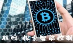   区块链与物联网：探索智能控制系统的未来