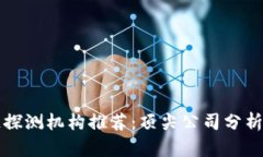 区块链探测机构推荐：顶尖公司分析与比较