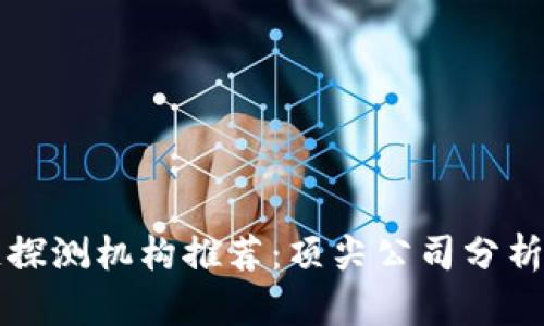区块链探测机构推荐：顶尖公司分析与比较