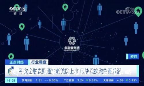 tp钱包打新币的常见陷阱与应对策略