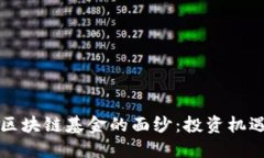 揭开娄底市区块链基金的