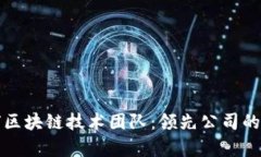 探索全球区块链技术团队：领先公司的全景分析