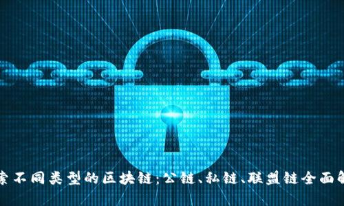 探索不同类型的区块链：公链、私链、联盟链全面解析