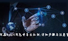 如何在Bybit钱包中导出私钥