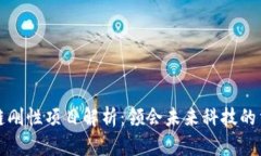 区块链刚性项目解析：领