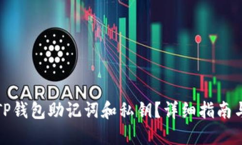 如何找回TP钱包助记词和私钥？详细指南与解决方案