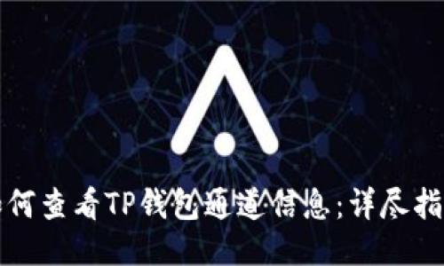 如何查看TP钱包通道信息：详尽指南