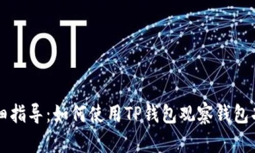 详细指导：如何使用TP钱包观察钱包功能