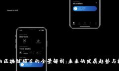 国内区块链项目的全景解析：未来的发展趋势与