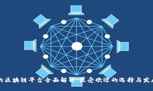 真正的区块链平台全面解析：最受欢迎的选择与发展趋势