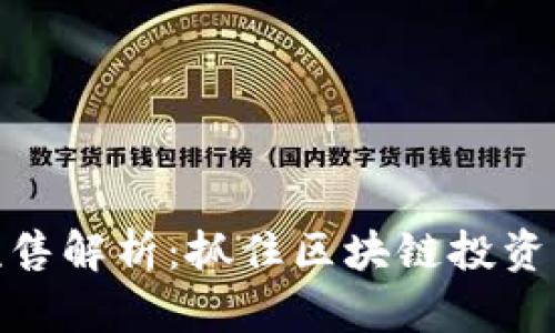 TP钱包预售解析：抓住区块链投资的新机会