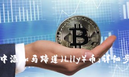 如何在TP钱包中添加马蹄莲（Lily）币：详细步骤与注意事项
