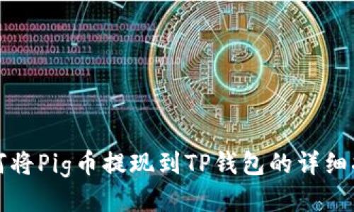 如何将Pig币提现到TP钱包的详细指南