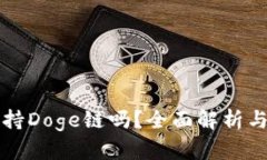 TP钱包支持Doge链吗？全面解析与用户指南