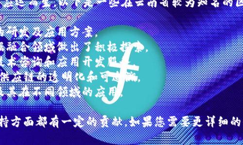 在云南省，随着区块链技术的快速发展，许多公司和项目应运而生。以下是一些在云南省较为知名的区块链生产公司：

1. **云南云链科技有限公司** - 专注于区块链技术的研发及应用方案。
2. **云南省大数据发展促进会** - 在区块链与大数据融合领域做出了积极探索。
3. **昆明智链科技有限公司** - 提供区块链相关的技术咨询和应用开发服务。
4. **云集微店云南分公司** - 结合区块链技术，实现供应链的透明化和可追溯。
5. **大观区块链研究院** - 关注区块链技术的研究及其在不同领域的应用。

以上公司在区块链技术的应用、研发及相应产业链的支持方面都有一定的贡献。如果您需要更详细的信息，可以访问他们的官方网站或查阅相应的行业报告。