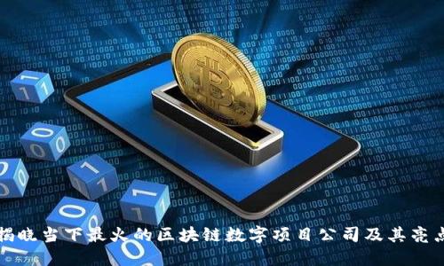 揭晓当下最火的区块链数字项目公司及其亮点