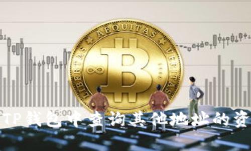 如何在TP钱包中查询其他地址的资产状况