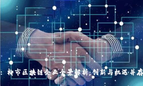 : 柳市区块链企业全景解析：创新与机遇并存