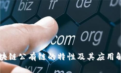 区块链公有链的特性及其应用解析