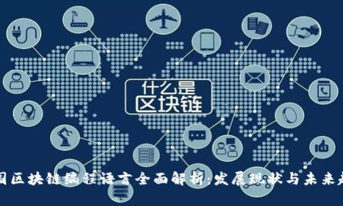 中国区块链编程语言全面解析：发展现状与未来趋势