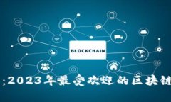 全面解析：2023年最受欢迎