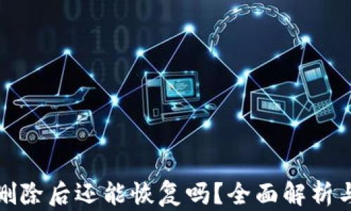
TP钱包被删除后还能恢复吗？全面解析与解决方案