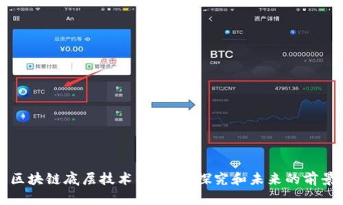 区块链底层技术的应用：探究和未来的前景